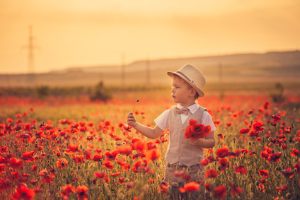 A boy in poppies during the sunset for Remembrance Day.