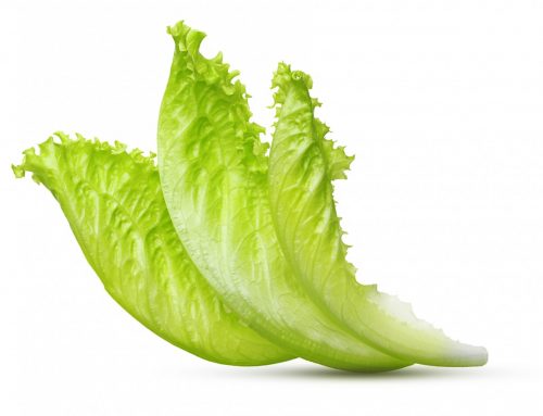 Try This Tuesday – Lettuce Wraps
