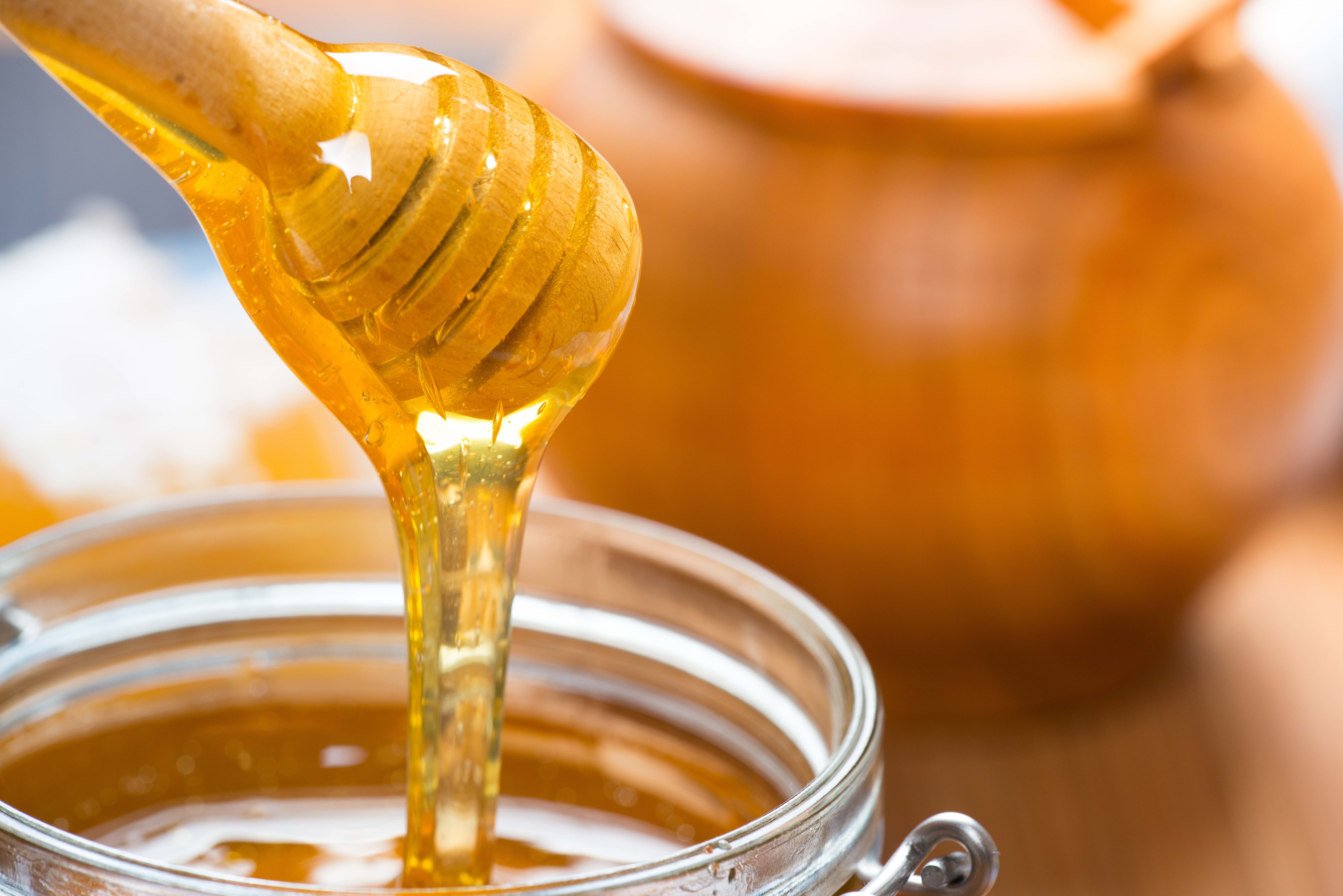 Honey фото. Мёд. Мёд натуральный. Мёд цветочный. Густой мед.